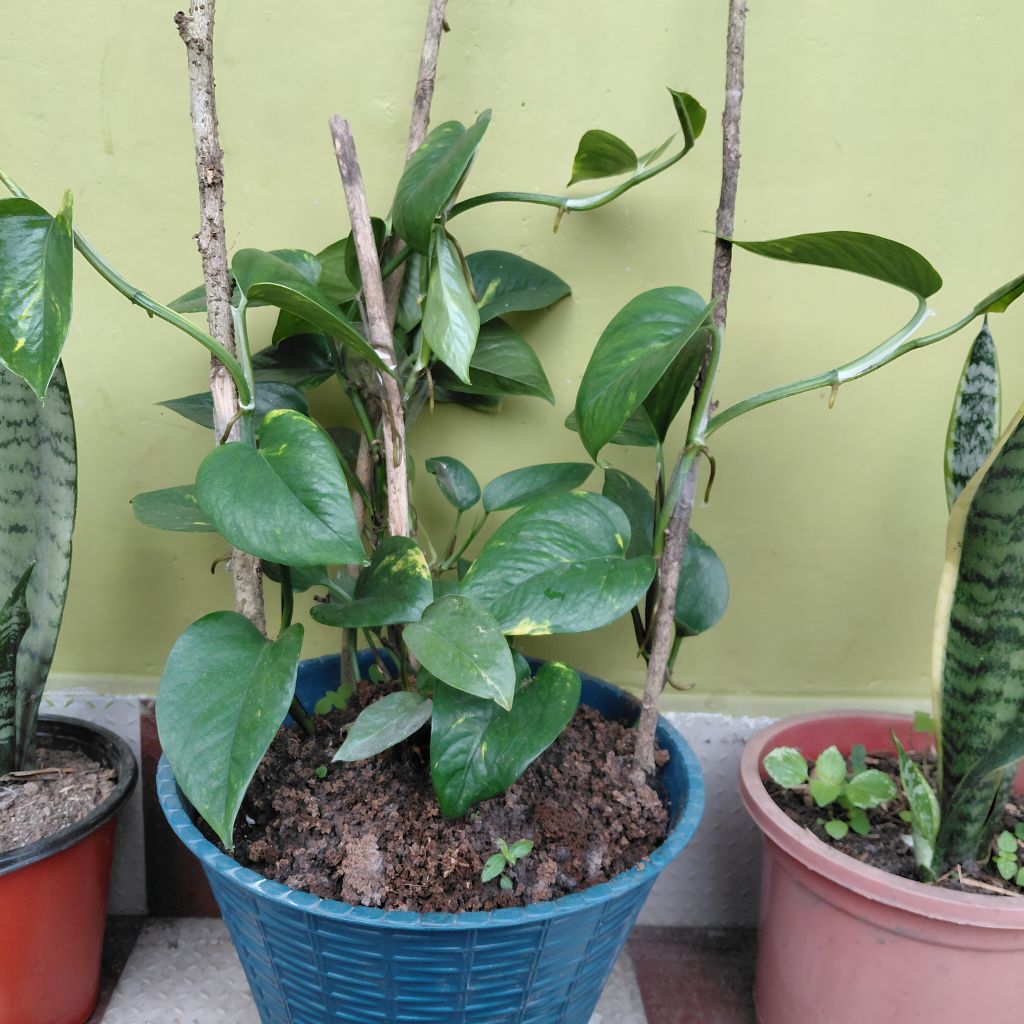 Návrh bez názvu (32)